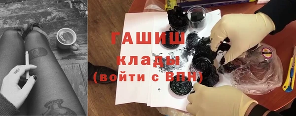 прущие грибы Инта