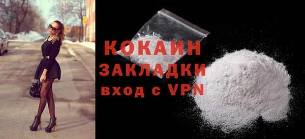 прущие грибы Инта