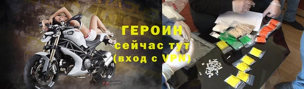 прущие грибы Инта