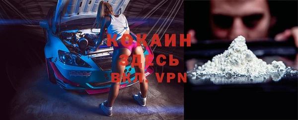 прущие грибы Инта