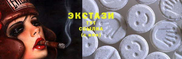 прущие грибы Инта