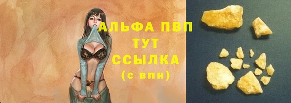 амф Зерноград