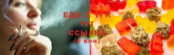 прущие грибы Инта