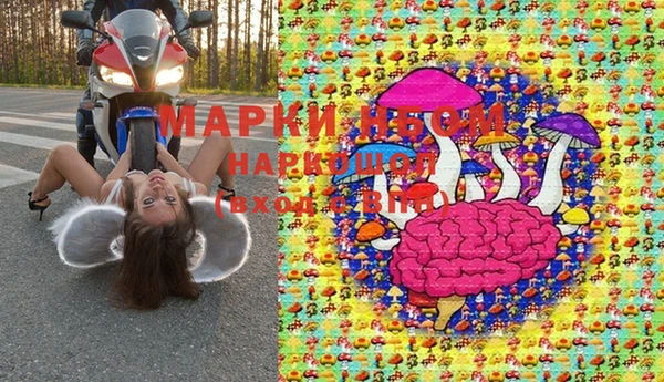 прущие грибы Инта