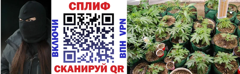 Купить где  Демидов  Конопля конопля 